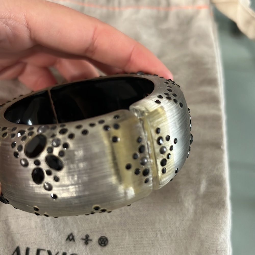 Alexis Bittar Lucite Large Hinged Bracelet - Picture 5 of 5